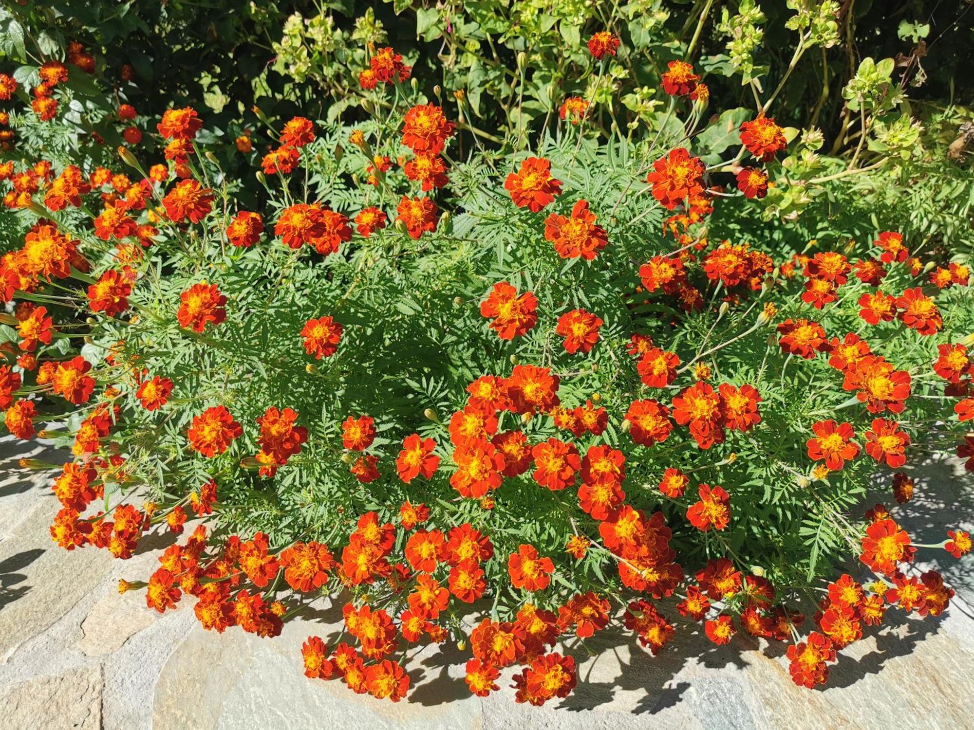 Kardiakafti Village Gastuni Exterior foto